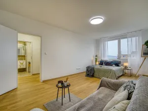 Pronájem bytu 1+1, Ústí nad Labem - Krásné Březno, Rozcestí, 41 m2