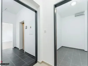 Prodej bytu 1+kk, Plzeň, Železná, 38 m2