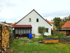 Prodej chalupy, Všemyslice - Neznašov, 140 m2