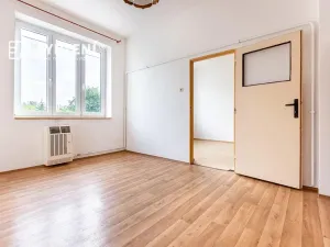 Prodej bytu 2+1, Světec, Kostomlatská, 77 m2