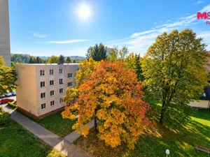 Prodej bytu 1+1, Havířov - Podlesí, Kosmonautů, 36 m2