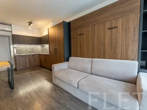 Pronájem bytu 1+kk, Praha - Karlín, Sokolovská, 31 m2