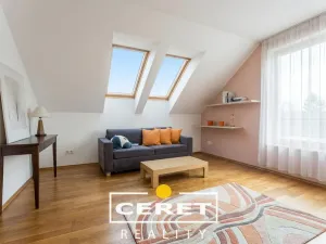 Prodej rodinného domu, Nové Sedlo - Číňov, 500 m2