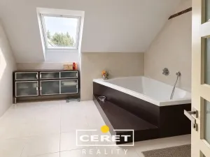 Prodej rodinného domu, Nové Sedlo - Číňov, 500 m2