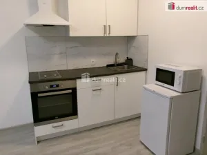 Pronájem bytu 1+kk, Dobrovice, 32 m2