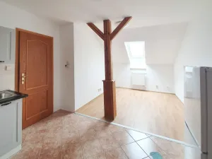 Pronájem bytu 2+kk, České Budějovice, Skuherského, 45 m2