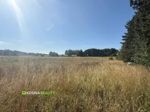 Prodej pozemku pro bydlení, Kynšperk nad Ohří, Petra Bezruče, 4145 m2