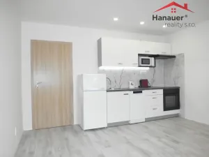 Pronájem bytu 2+kk, Ústí nad Labem - Severní Terasa, Brandtova, 40 m2