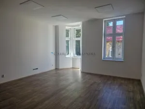 Pronájem ordinace, Ostrava - Přívoz, Fügnerova, 118 m2