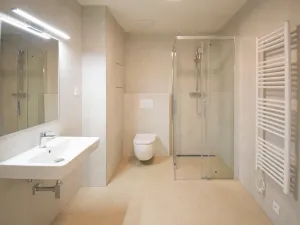 Pronájem bytu 2+kk, Plzeň - Východní Předměstí, Zahradní, 52 m2