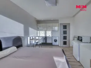 Pronájem bytu 1+kk, Dobřany, Sokolovská, 23 m2