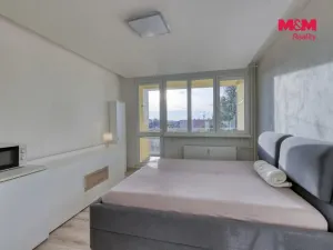 Pronájem bytu 1+kk, Dobřany, Sokolovská, 23 m2
