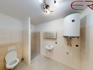 Pronájem bytu 3+kk, Jenišovice, 96 m2