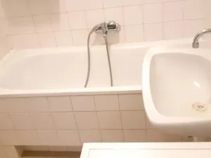 Prodej bytu 1+1, Brno - Ponava, Kartouzská, 43 m2