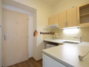 Pronájem bytu 1+kk, Praha - Vršovice, Sevastopolská, 18 m2