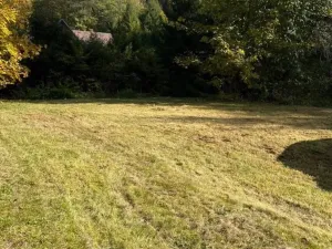 Prodej rodinného domu, Mladé Buky - Hertvíkovice, 105 m2