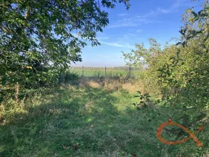 Prodej rodinného domu, Hrubčice - Otonovice, 80 m2