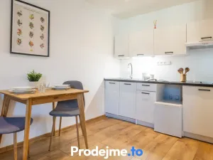 Prodej bytu 1+kk, Znojmo, Mikulášské náměstí, 38 m2