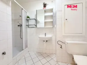 Pronájem bytu 1+1, Milovice - Mladá, Braniborská, 27 m2