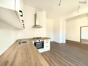 Pronájem bytu 2+kk, Osek, Tovární, 50 m2