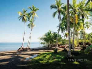 Prodej vily, Puerto Jiménez Canton, Costa Rica, Calle Plaza, 153 m2