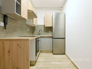 Pronájem bytu 2+kk, Chomutov, Holešická, 42 m2