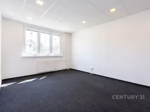 Pronájem kanceláře, Most, Obránců míru, 68 m2