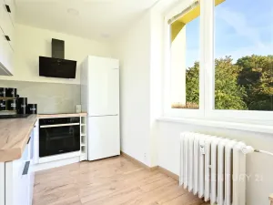 Prodej bytu 2+1, Teplice - Řetenice, Buzulucká, 50 m2