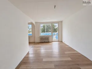 Pronájem bytu 4+1, Litvínov - Janov, Luční, 85 m2