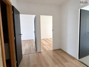 Pronájem bytu 4+1, Litvínov - Janov, Luční, 85 m2