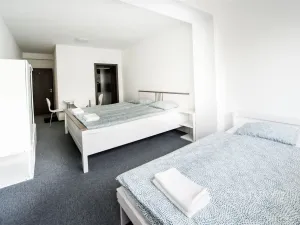 Prodej ubytování, Most, Pod Širokým vrchem, 312 m2