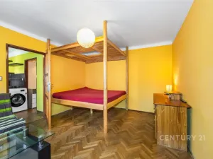 Prodej bytu 1+1, Plzeň, Partyzánská, 30 m2