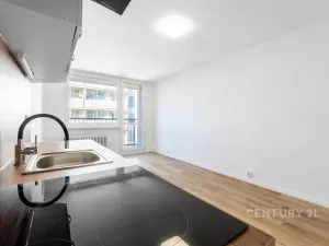 Pronájem bytu 2+kk, Most, Brněnská, 35 m2