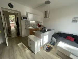 Prodej bytu 2+kk, Břeclav, Žižkova, 49 m2