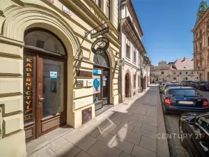 Pronájem kanceláře, Plzeň, Bezručova, 26 m2
