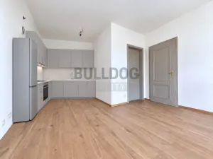 Pronájem bytu 2+kk, Libčice nad Vltavou, Chýnovská, 39 m2