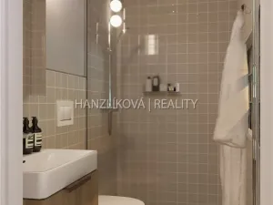Prodej bytu 1+kk, České Budějovice - České Budějovice 5, Ledenická, 30 m2
