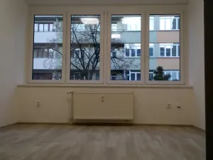 Pronájem kanceláře, Brno - Veveří, Bayerova, 19 m2
