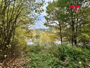 Prodej chaty, Čížová - Topělec, 50 m2