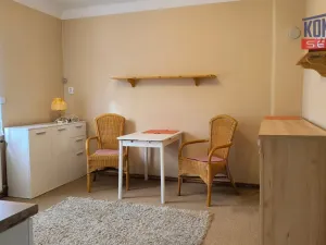 Pronájem rodinného domu, Lišov, Benátky, 32 m2