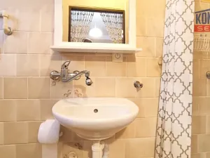 Pronájem rodinného domu, Lišov, Benátky, 32 m2