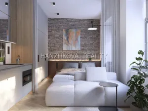 Prodej bytu 1+kk, České Budějovice - České Budějovice 5, Ledenická, 27 m2
