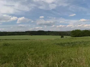 Prodej pozemku pro bydlení, Zbizuby, 1000 m2