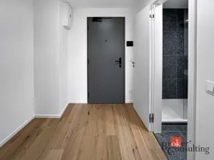 Pronájem bytu 1+kk, Brno - Zábrdovice, Bratislavská, 32 m2