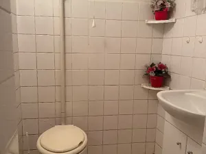 Prodej rodinného domu, Panenské Břežany, 300 m2