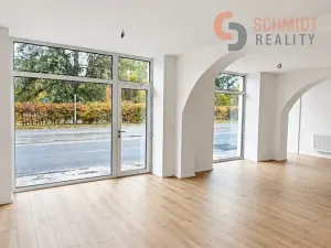 Pronájem obchodního prostoru, Brno, Bubeníčkova, 49 m2