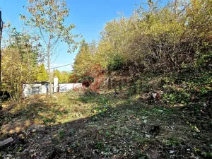 Prodej pozemku pro bydlení, Masojedy, 1619 m2