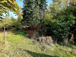 Prodej pozemku pro bydlení, Masojedy, 1619 m2