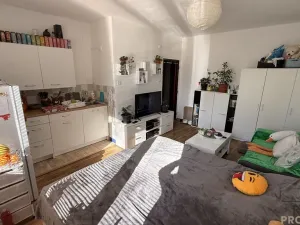 Prodej bytu 1+kk, Havířov, Karolíny Světlé, 22 m2