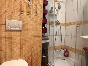 Prodej bytu 1+kk, Havířov, Karolíny Světlé, 22 m2
